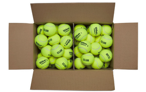 Wilson Triniti Club Tennis Balls - 6 dozen