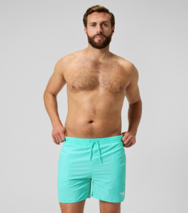 Speedo Mens Essentials 16 inch Watershort - Artic Blue