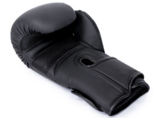 Britannia Boxing BBE Matte Black Sparring/Bag Glove
